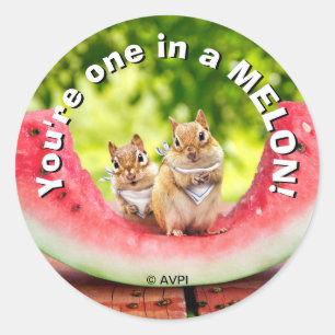 Chipmunks Eating Watermelon Runder Aufkleber