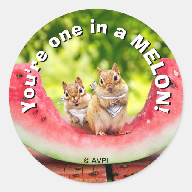 Chipmunks Eating Watermelon Runder Aufkleber (Vorderseite)