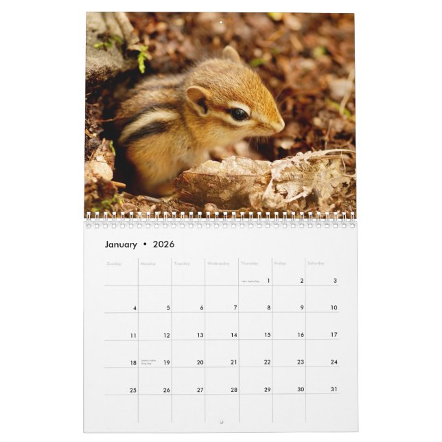 Chipmunks! Ein super niedlicher 2013 Wandkalender (Jan 2026)