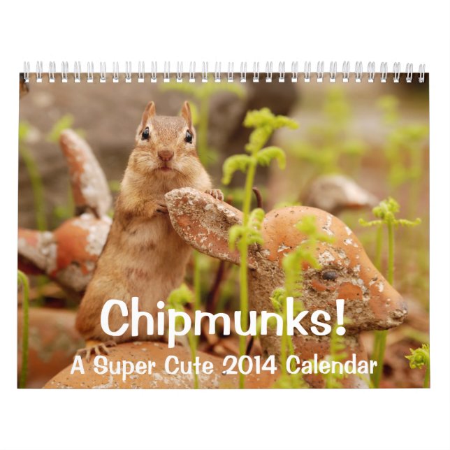 Chipmunks! Ein super niedlicher 2014 Wandkalender (Titelbild)