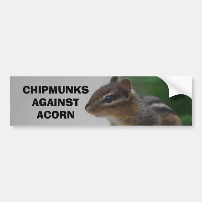 Chipmunks gegen Eichel-Autoaufkleber Autoaufkleber (Vorne)