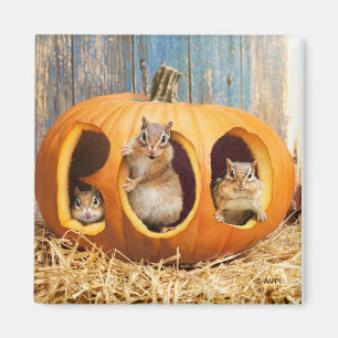 Chipmunks Inside Boo Jack-o-Lantern Magnet