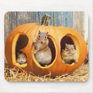 Chipmunks Inside Boo Jack-o-Lantern Mousepad