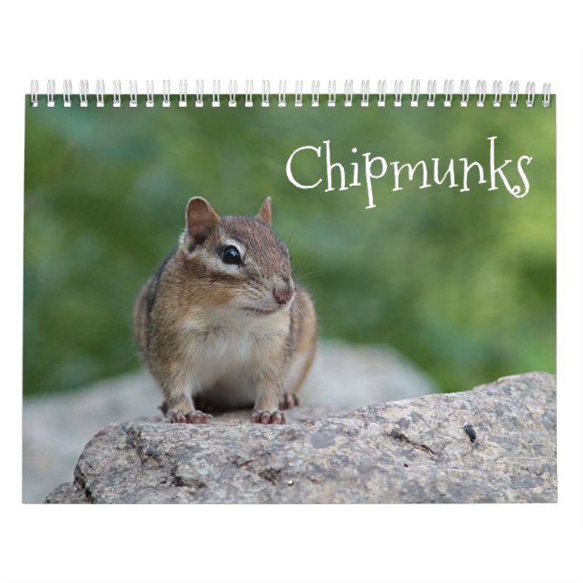 Chipmunks Kalender (Titelbild)