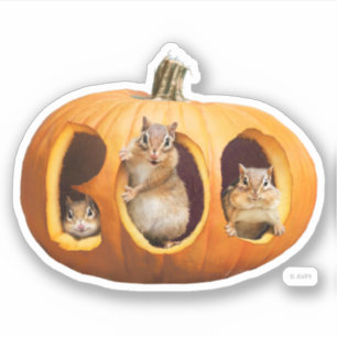 Chipmunkte Inside Boo Jack-o-Lantern Aufkleber
