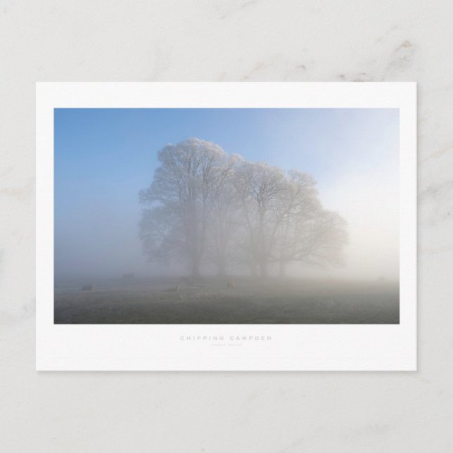 Chipping Campen Postkarte (Vorderseite)