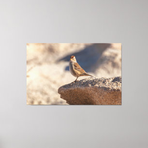 Chipping Sparrow auf dem Felsen Leinwanddruck