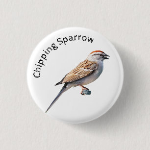 Chipping Sparrow Button