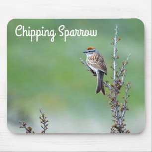 Chipping Sparrow Mousepad