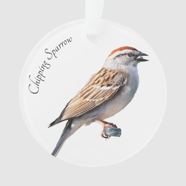 Chipping Sparrow Ornament (Vorderseite)