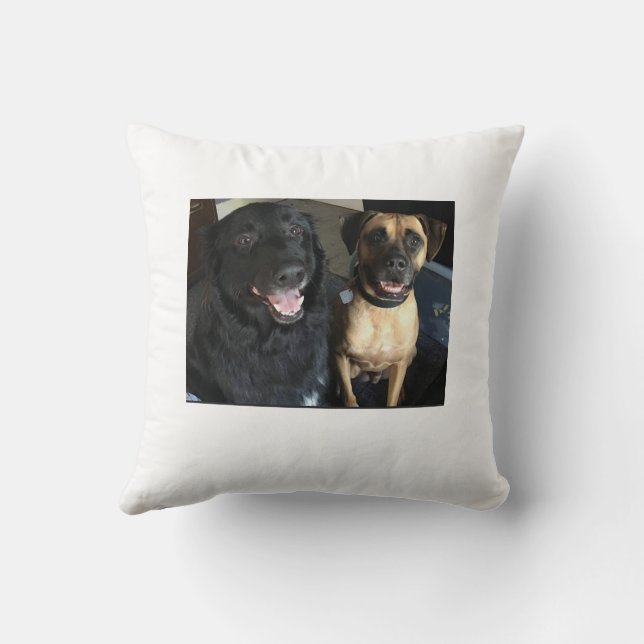 chips coussins (Verso)