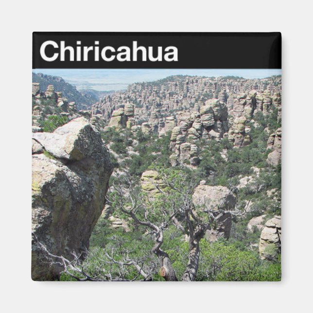 Chiricahua-Nationaldenkmal Magnet (Vorne)