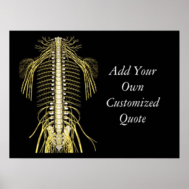 Chiropractic Quotes & Sayings Customized Poster (Vorne)