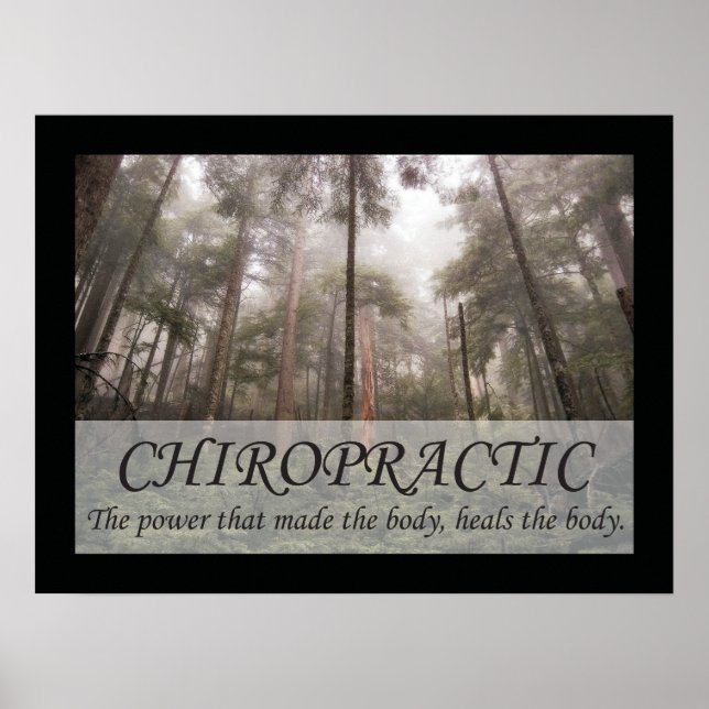 Chiropraktik heilt die Body Quotes-Redewendungen Poster (Vorne)
