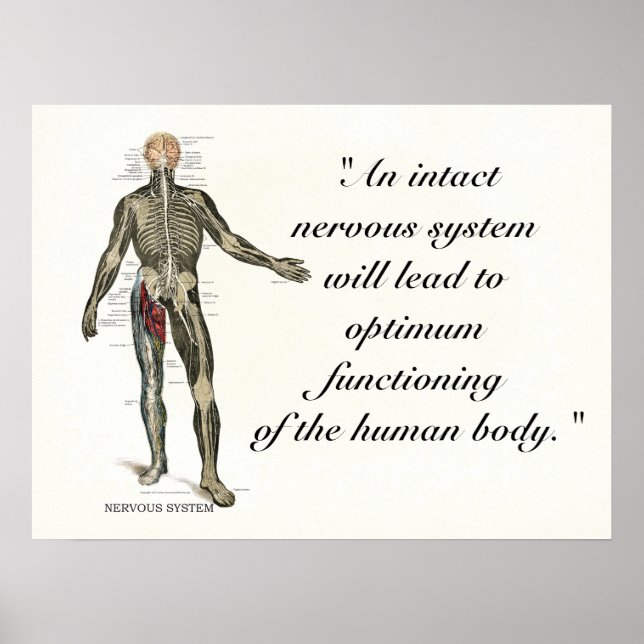 Chiropraktische Gesundheitstipps und Redewendungen Poster (Vorne)
