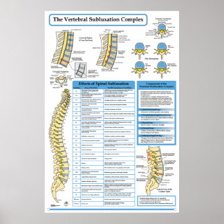 Chiropraktische Wirbelsäulensubluxation Komplex Po Poster