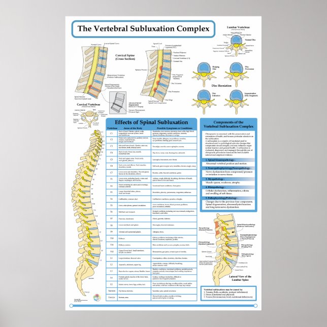 Chiropraktische Wirbelsäulensubluxation Komplex Po Poster (Vorne)