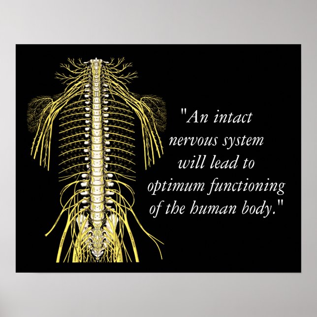 Chiropraktische Zitate und Redewendungen Nerven Poster (Vorne)