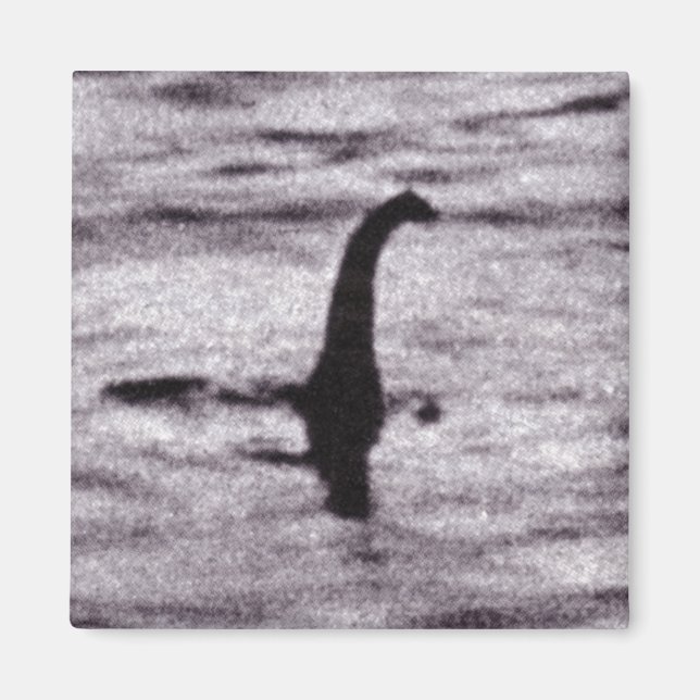 Chirurgen-Foto-Magnet Magnet (Vorne)