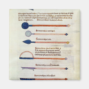 Chirurgische Instrumente von einer Abhandlung Magnet