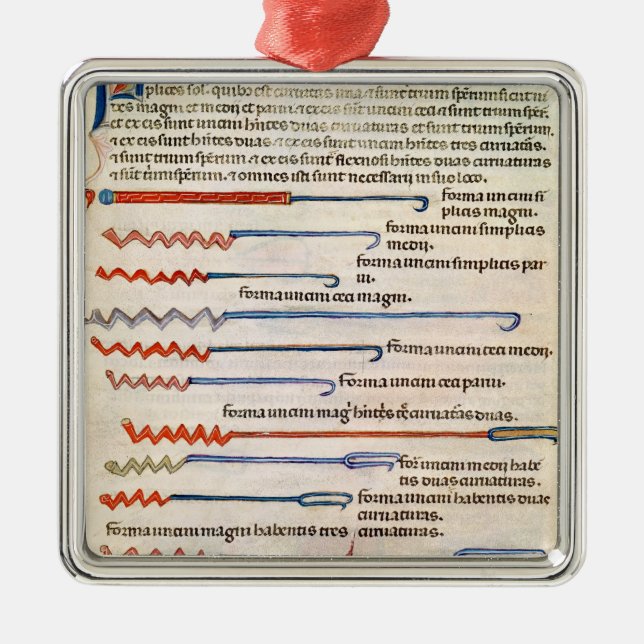Chirurgische Instrumente von einer Abhandlung Silbernes Ornament (Vorne)
