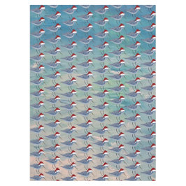 Chistmas sandpipers Holdiay coastal tablecloth Tischdecke