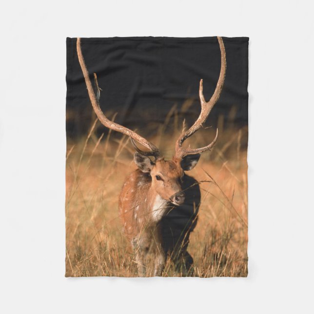 Chital Natural Habitat | Bandhavgar National Park Fleecedecke (Vorderseite)