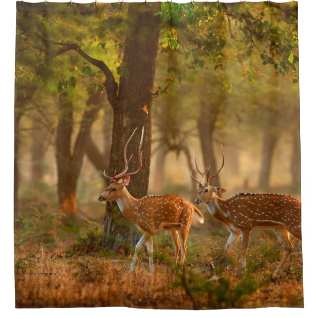 Chital oder cheetal, Achsachse, gepunktete Hirsche Duschvorhang (Vorderseite)