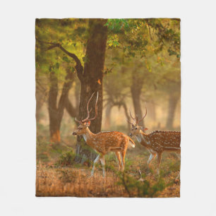 Chital oder cheetal, Achsachse, gepunktete Hirsche Fleecedecke