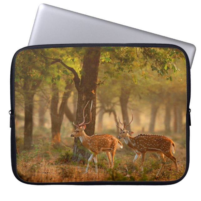 Chital oder cheetal, Achsachse, gepunktete Hirsche Laptopschutzhülle (Vorderseite)