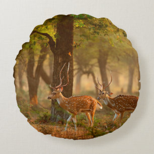 Chital oder cheetal, Achsachse, gepunktete Hirsche Rundes Kissen