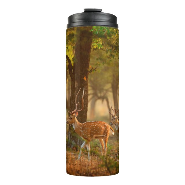Chital oder cheetal, Achsachse, gepunktete Hirsche Thermosbecher (Vorderseite)