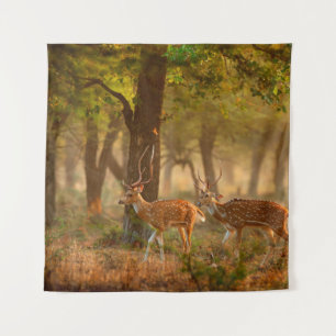 Chital oder cheetal, Achsachse, gepunktete Hirsche Wandteppich