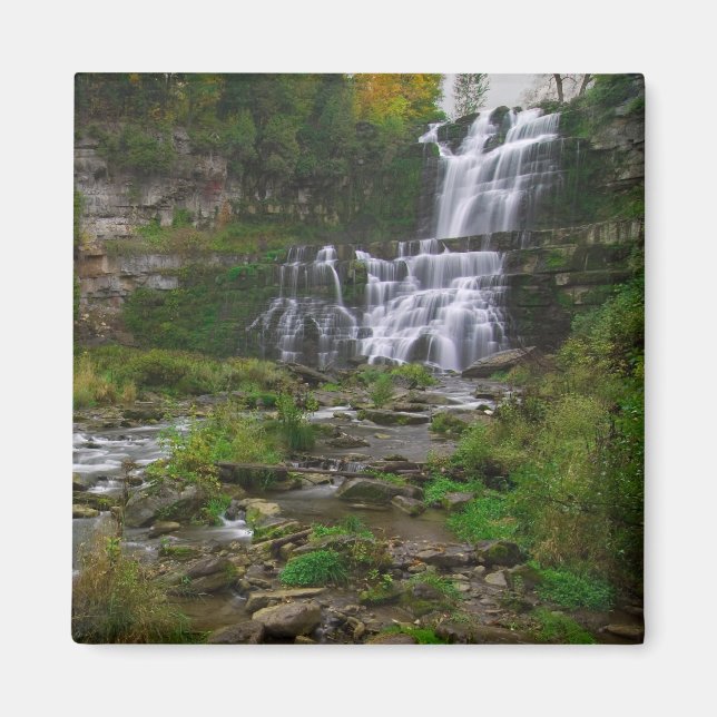 Chittenango Falls Magnet (Vorne)