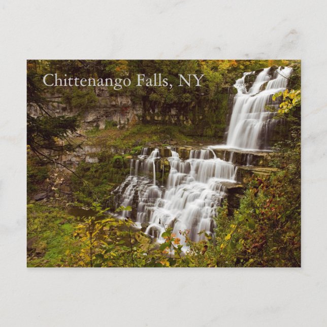 Chittenango Falls Postcard Postkarte (Vorderseite)