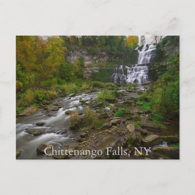 Chittenango Falls Postcard Postkarte (Vorderseite)