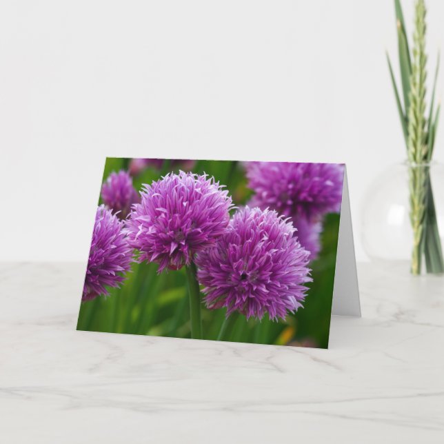Chive Blume denken an Ihre Karte (Vorderseite)