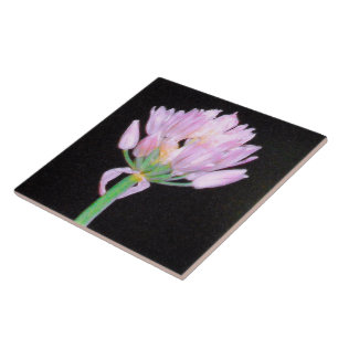 Chives Blume Fliese