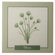 Chives Herb Garden Kitchen Faux Relief
