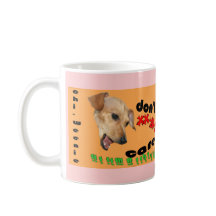 Chiweenie interessieren sich nicht