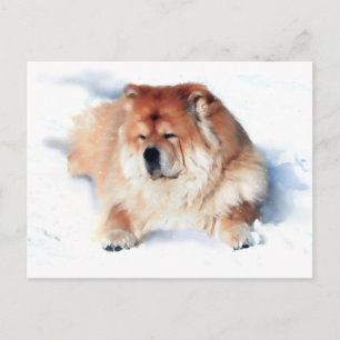 CHLOE LAYING IN THE SNOW heARTdog carte postale