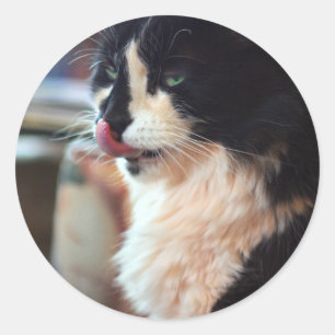 Chloe Licks Runder Aufkleber