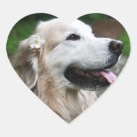 CHO CHO-Heftpapier für Aufkleber