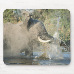 Chobe Fluss, Botswana, Afrika Mousepad