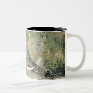 Chobe Fluss, Botswana, Afrika Zweifarbige Tasse