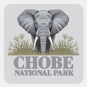 Chobe National Park Botswana Quadratischer Aufkleber