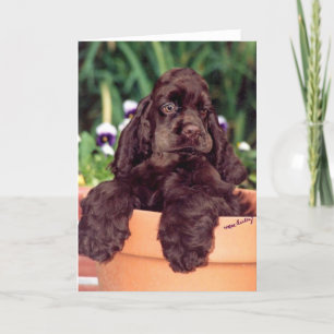Chocolat Cocker Spaniel carte de voeux