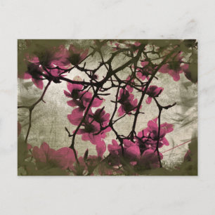 Chocolat Framboise Fleur Branches Carte postale
