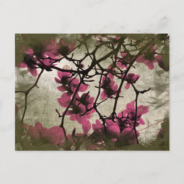 Chocolat Framboise Fleur Branches Carte postale (Devant)