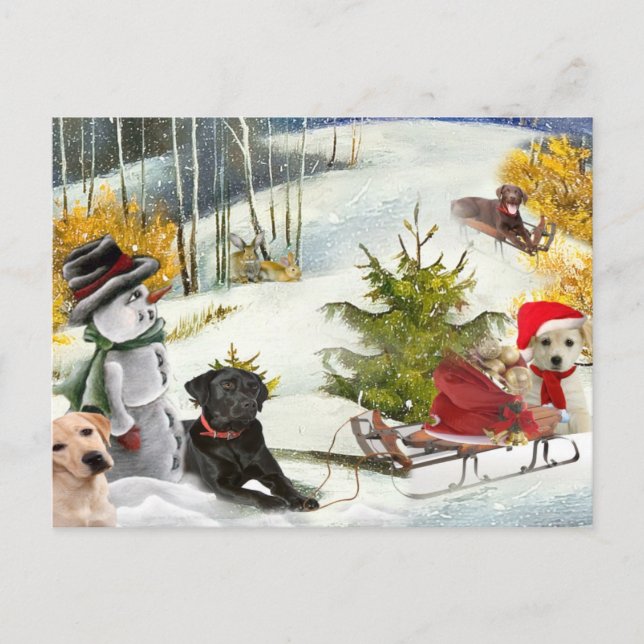 Chocolat Lab aime les cartes de Noël (Devant)